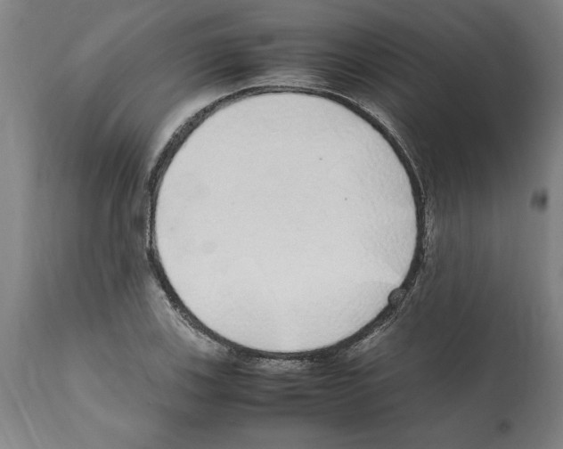 X0000112111123200909151218
