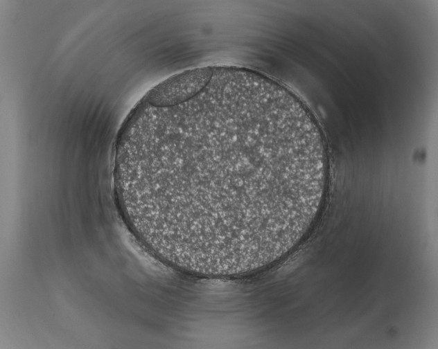 X0000112111124200909151218
