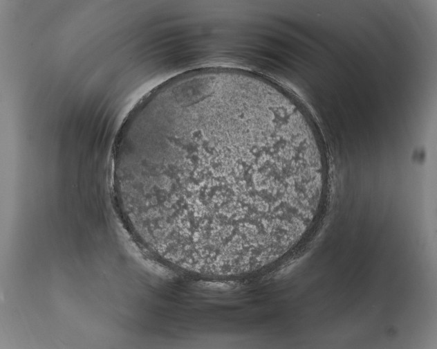 X0000112111125200909151218