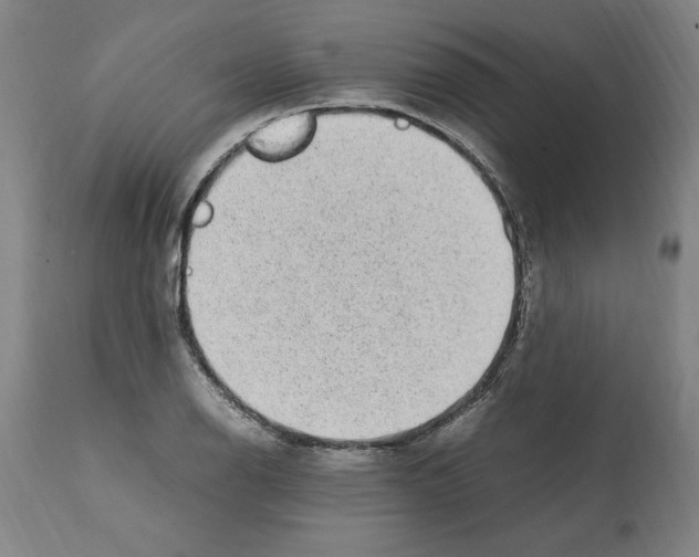 X0000112111126200909151218