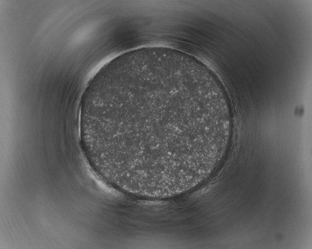 X0000112111127200909151218