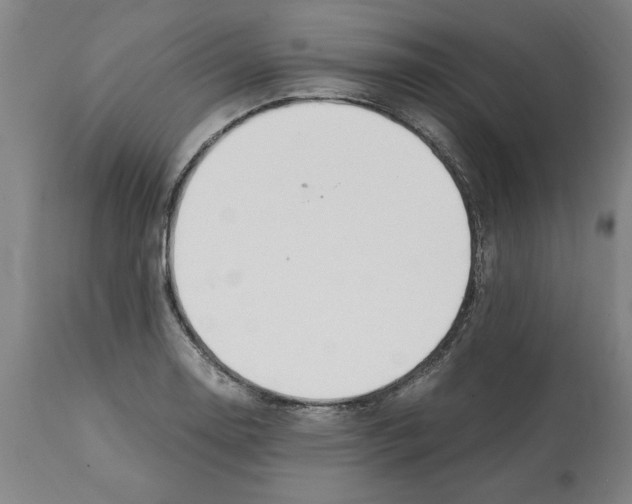 X0000112111130200909151218