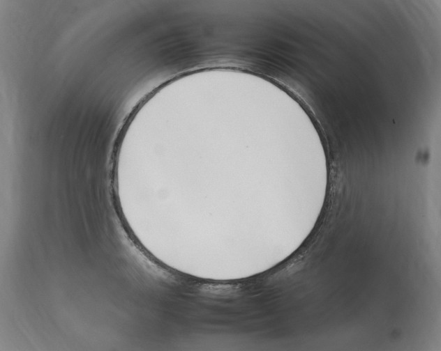 X0000112111135200909151218