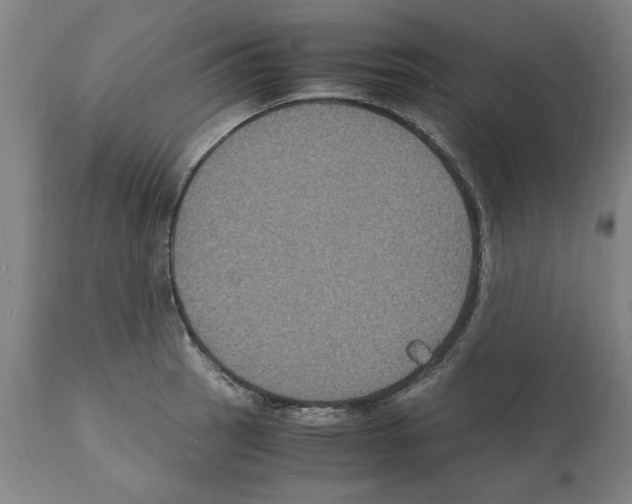 X0000112111137200909151218
