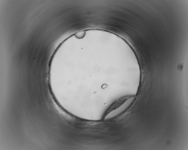X0000112111143200909151218