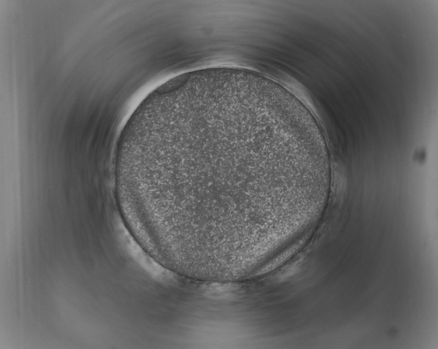 X0000112111148200909151218