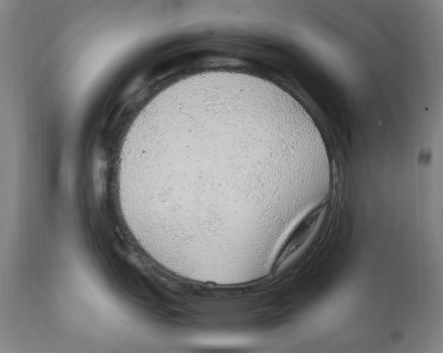 X0000112111151200909151218