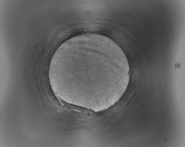 X0000112111153200909151218
