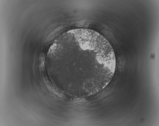 X0000112111154200909151218