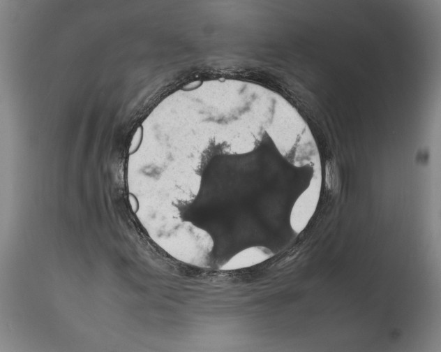 X0000112111155200909151218