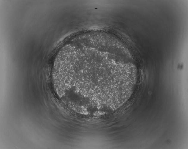 X0000112111158200909151218