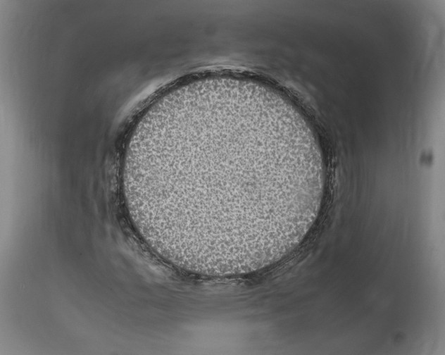 X0000112111159200909151218