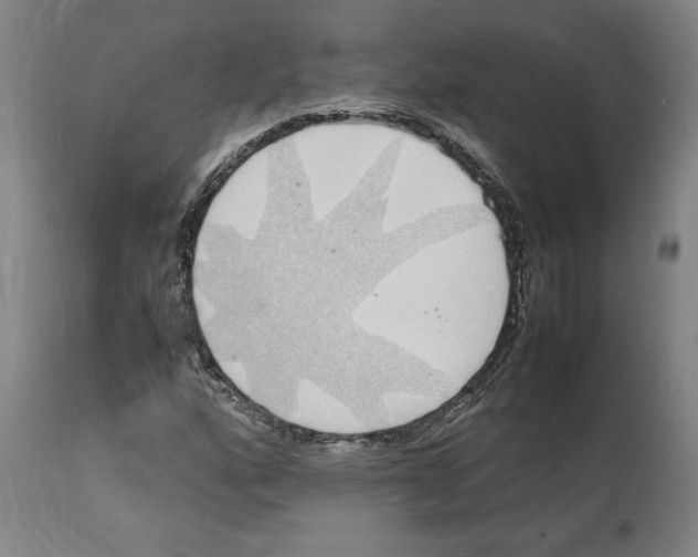 X0000112111160200909151218