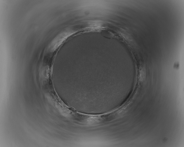 X0000112111161200909151218