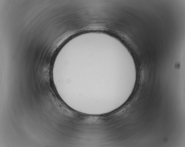 X0000112111162200909151217