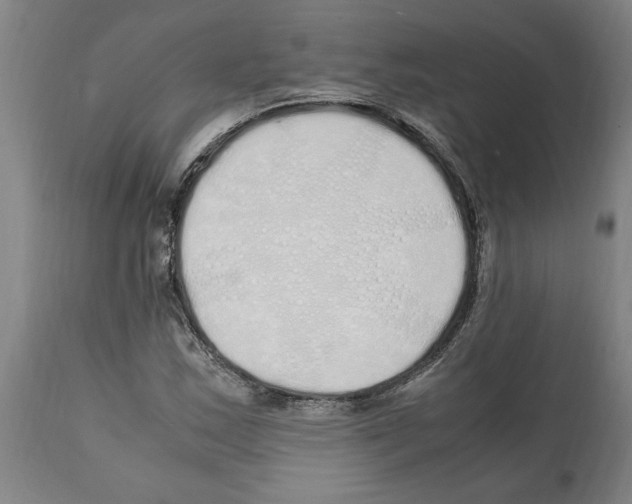 X0000112111163200909151217