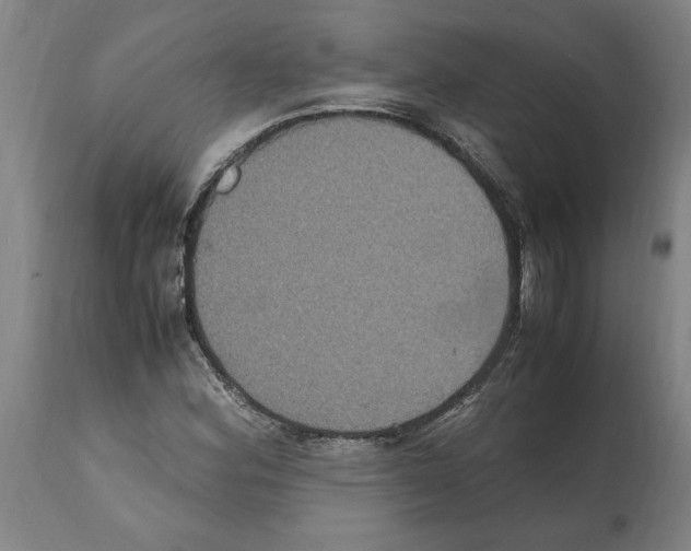 X0000112111164200909151217