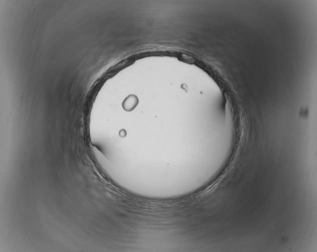 X0000112111165200909151217