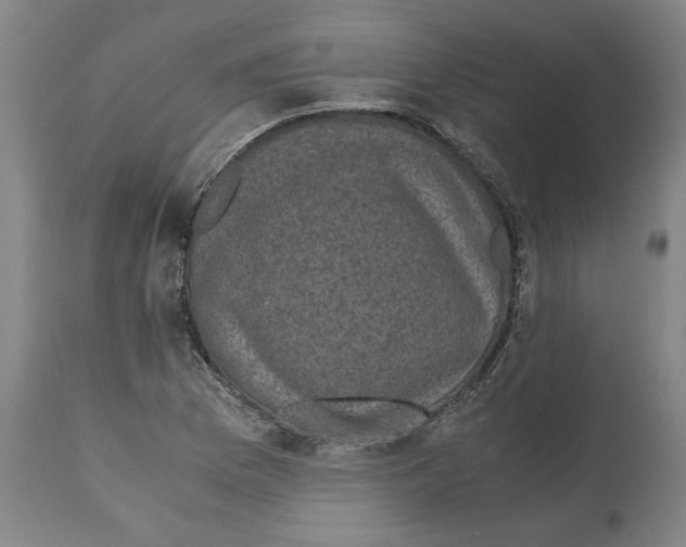 X0000112111169200909151217