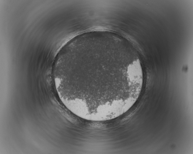 X0000112111170200909151217