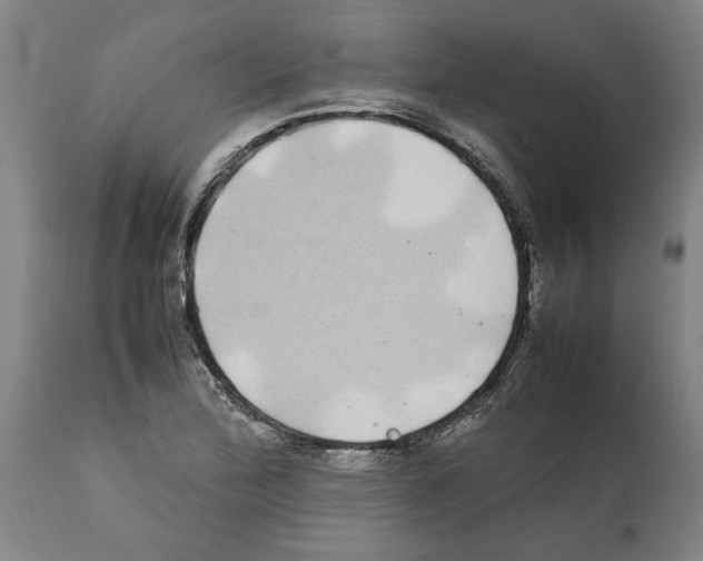 X0000112111172200909151217