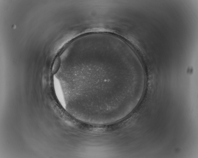 X0000112111173200909151217