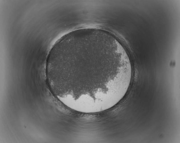 X0000112111174200909151217