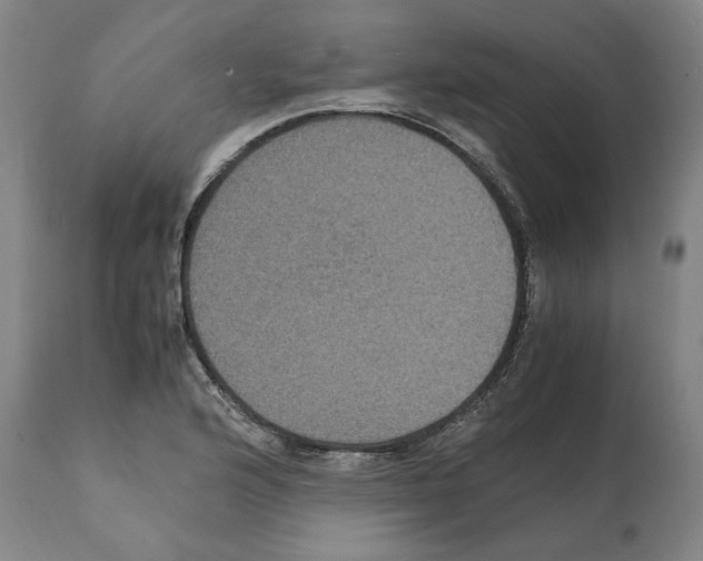 X0000112111176200909151217