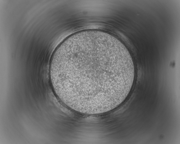 X0000112111178200909151217