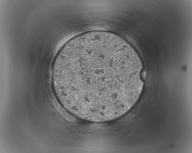 X0000112111179200909151217