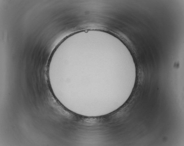 X0000112111182200909151217