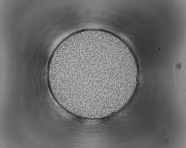 X0000112111183200909151217