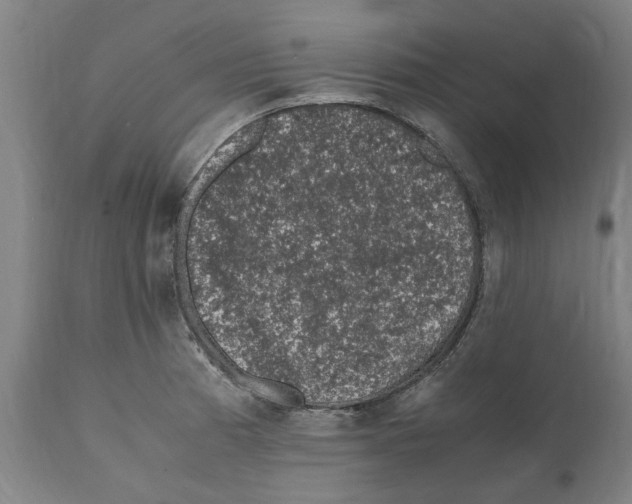 X0000112111185200909151217