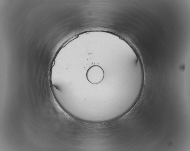 X0000112111189200909151217