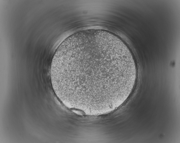 X0000112111193200909151217