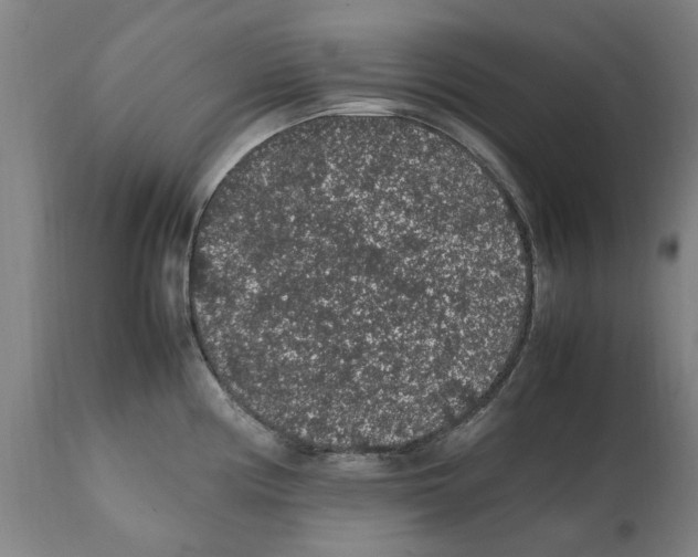 X0000112111194200909151217