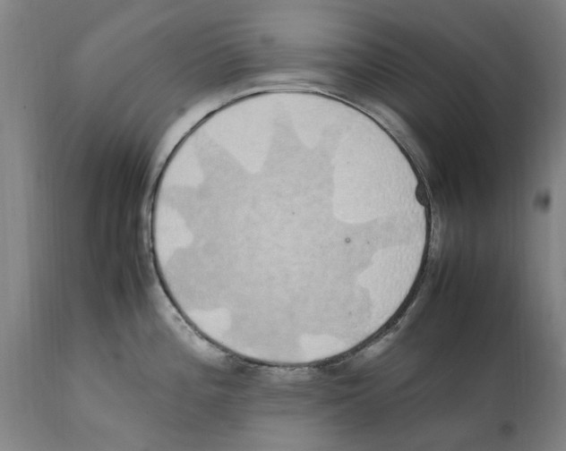 X0000112111196200909151217