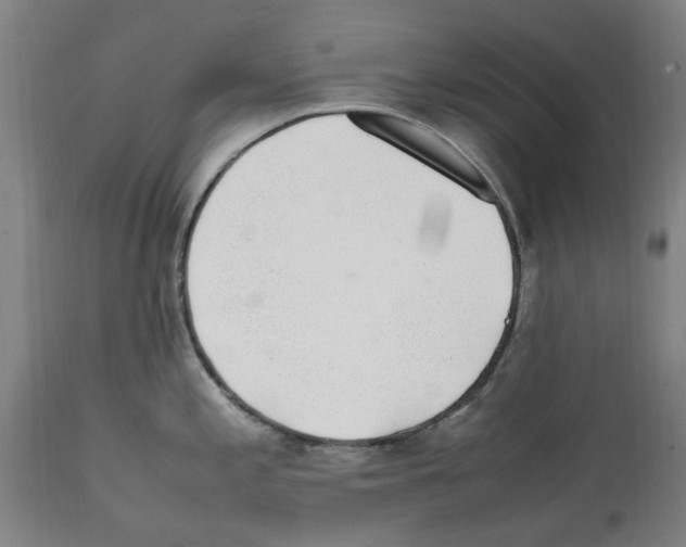 X0000112111197200909151217