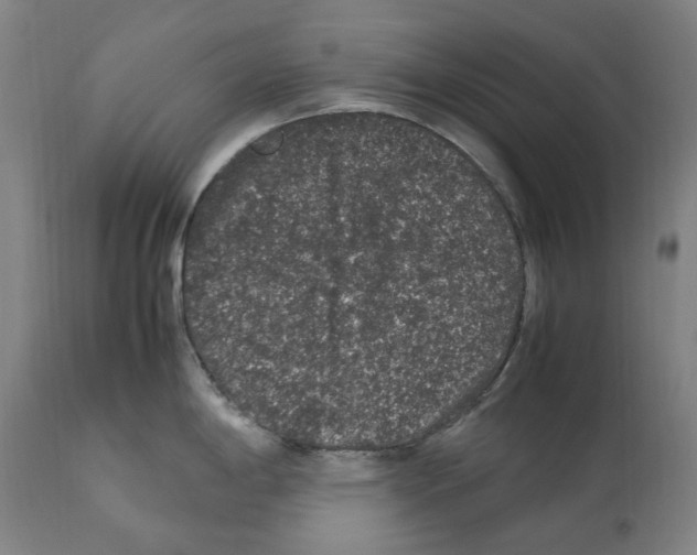 X0000112111198200909151217