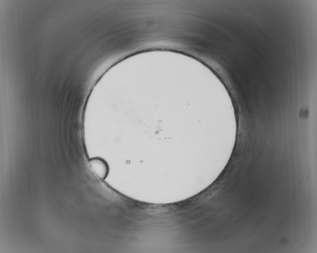 X0000112111199200909151217