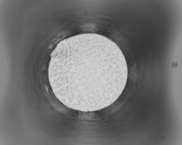 X0000112111201200909151216