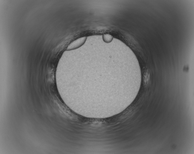 X0000112111204200909151216