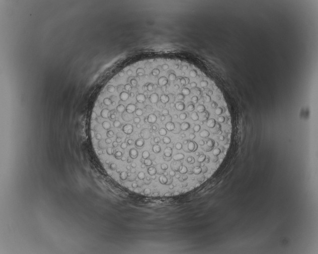 X0000112111205200909151216
