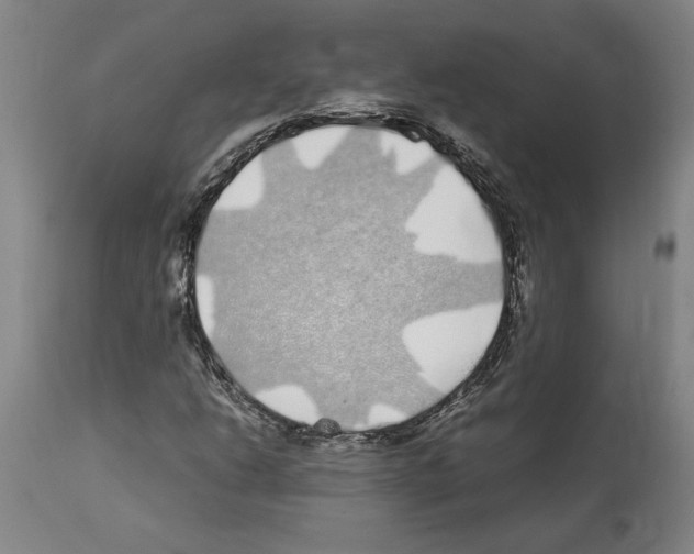 X0000112111206200909151216