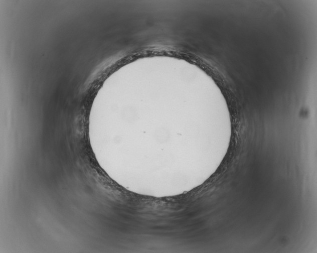 X0000112111207200909151216
