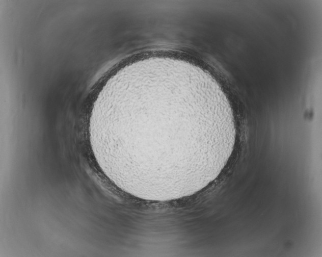 X0000112111208200909151216