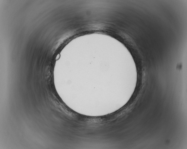 X0000112111210200909151216