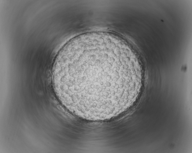 X0000112111212200909151216
