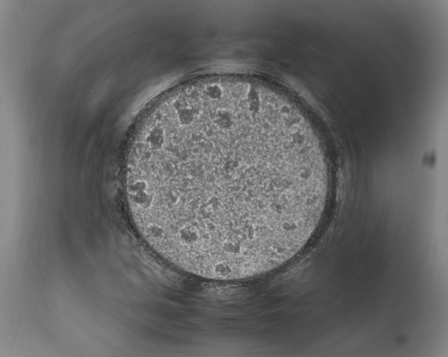 X0000112111213200909151216