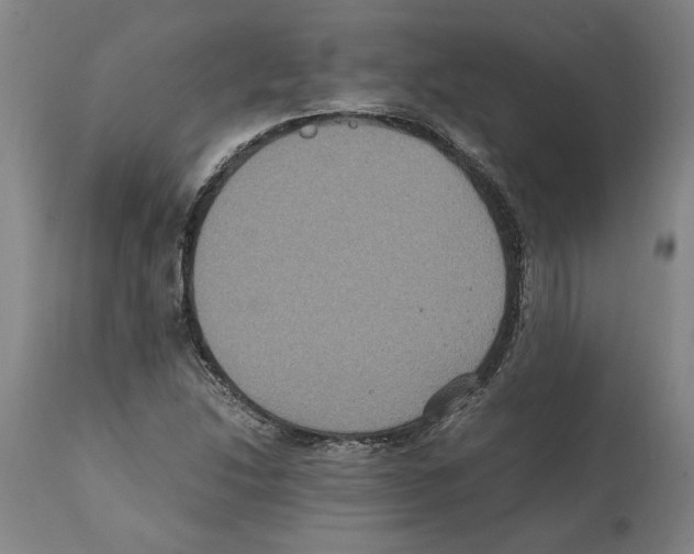 X0000112111214200909151216